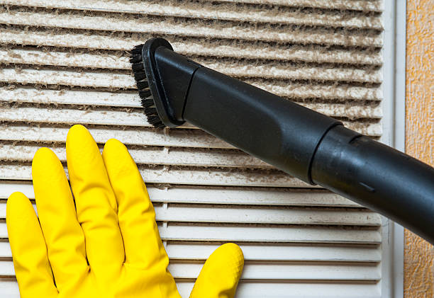 Best Air Duct Cleaning Near Me in MI